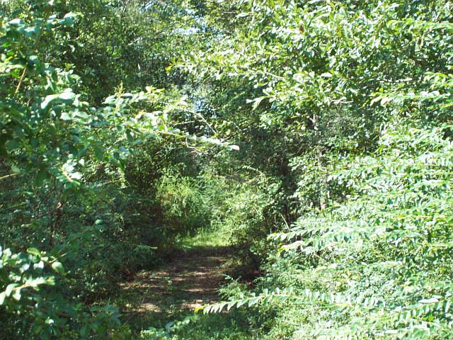 2nd image of Harvey Burks Rd