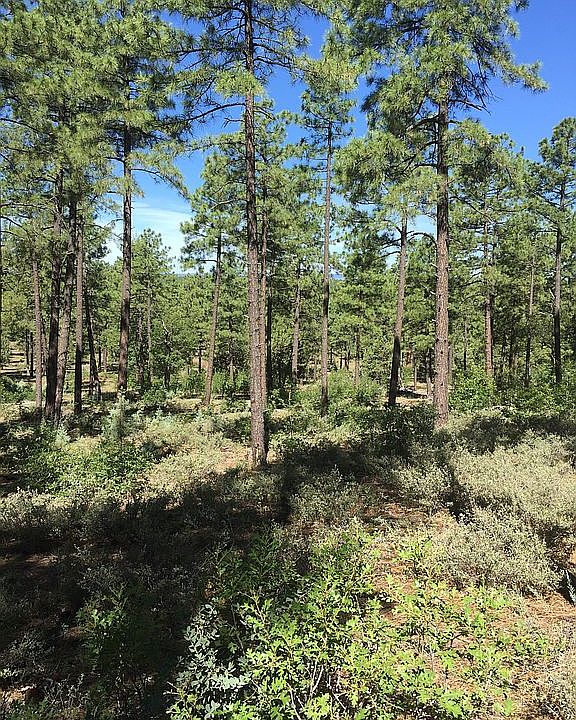 Reservation view behind lot