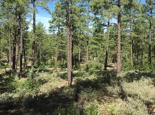 1831 E Rim Rd, Pinetop, AZ 85935
