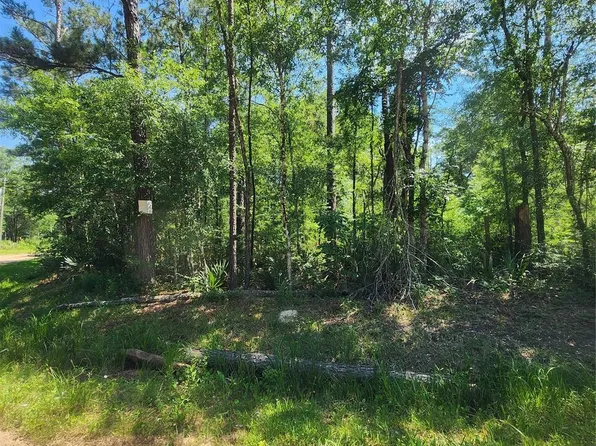 3 Cindy Ln, Shepherd, TX 77371