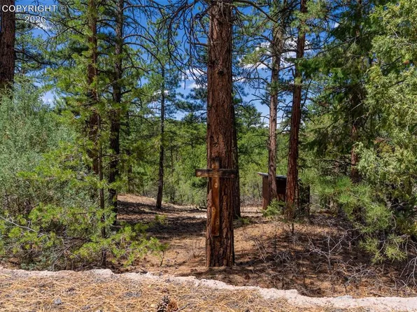 265 Alden Ln, Cotopaxi, CO 81223