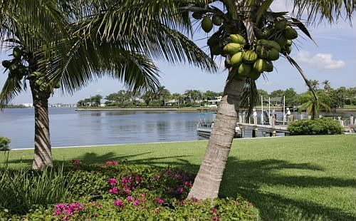 4th image of 2007 Cove Dr