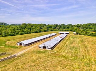 Little Chuckey Rd, Mosheim, TN 37818