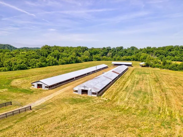 Little Chuckey Rd, Mosheim, TN 37818
