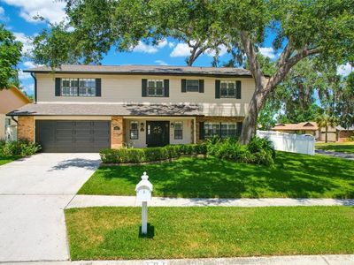 701 Millifold Pl, Brandon, FL, 33510