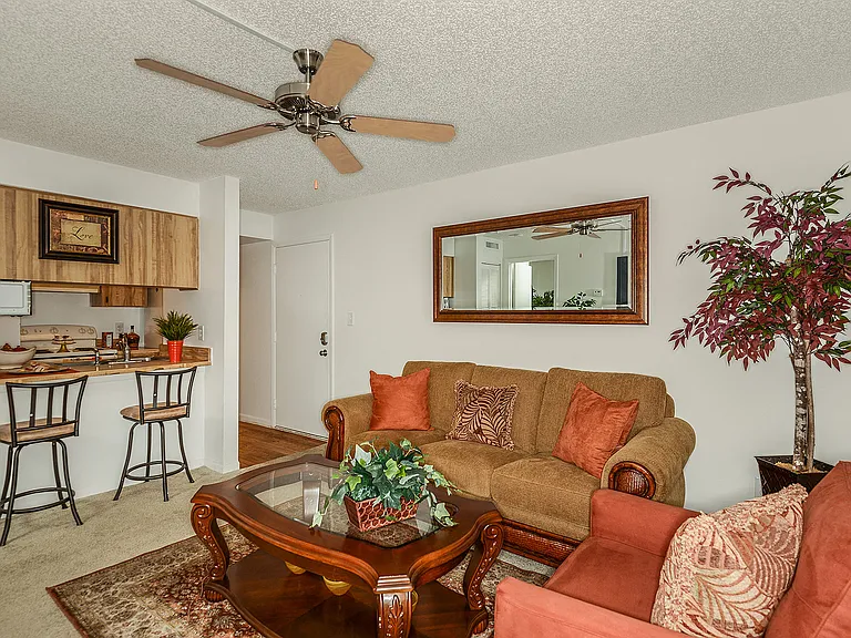 Park Avenue Apartments — Photo 15