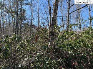 134 Goldfinch Rd, Newland, NC 28657