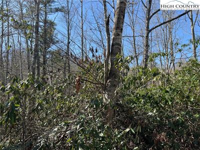 134 Goldfinch Road, Newland, NC, 28657
