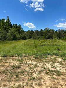 0 Hampton Ridge Ct LOT 30, Mobile, AL, 36608
