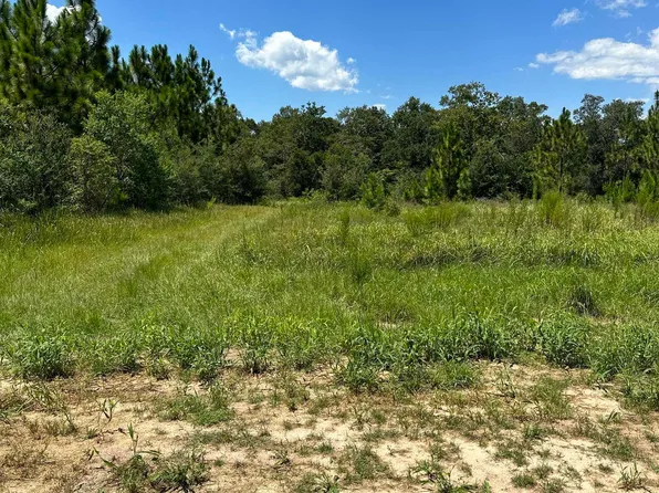 0 Hampton Ridge Ct Lot 30, Mobile, AL 36608