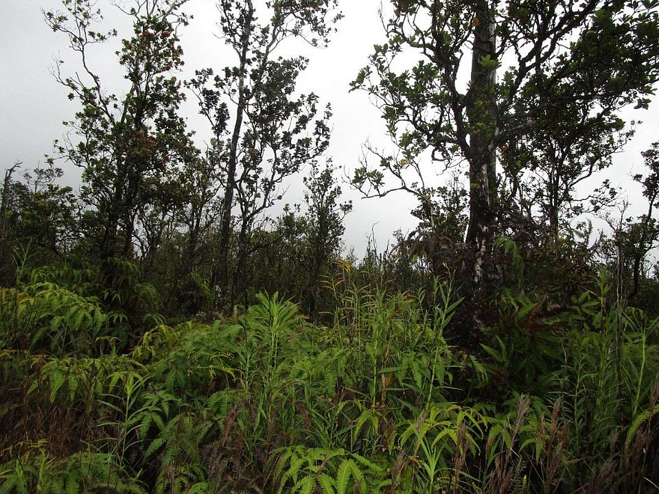 2nd image of Kokokahi Rd Lot 14