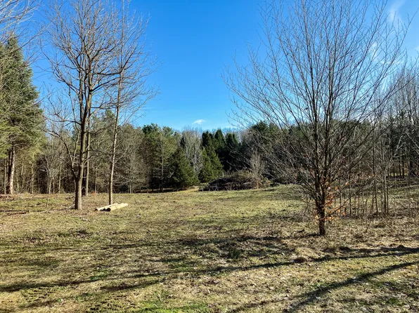 V/l W Gh Ave, Kalamazoo, MI 49009