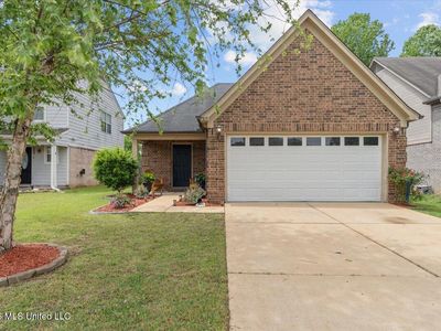 7325 Green Ash Dr, Olive Branch, MS, 38654