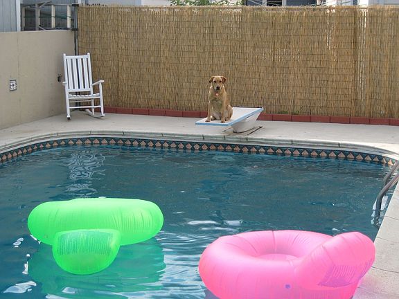 HEATED in-ground pool