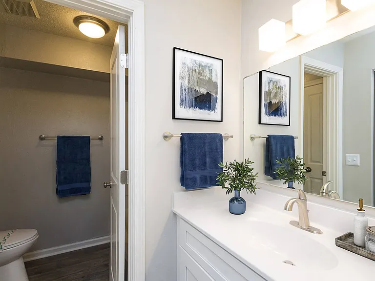 Palmetto Place Apartments — Photo 20