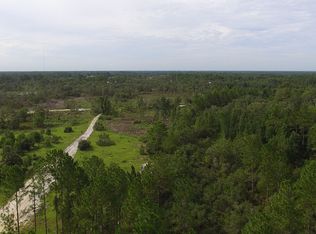 45285 Wild Acres Trl, Paisley, FL 32767