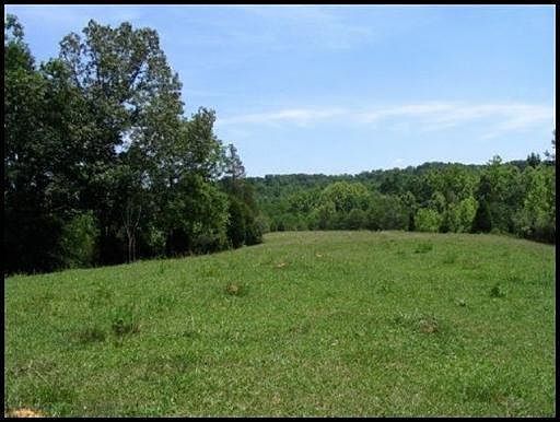 2nd image of Stewart Wilson Rd