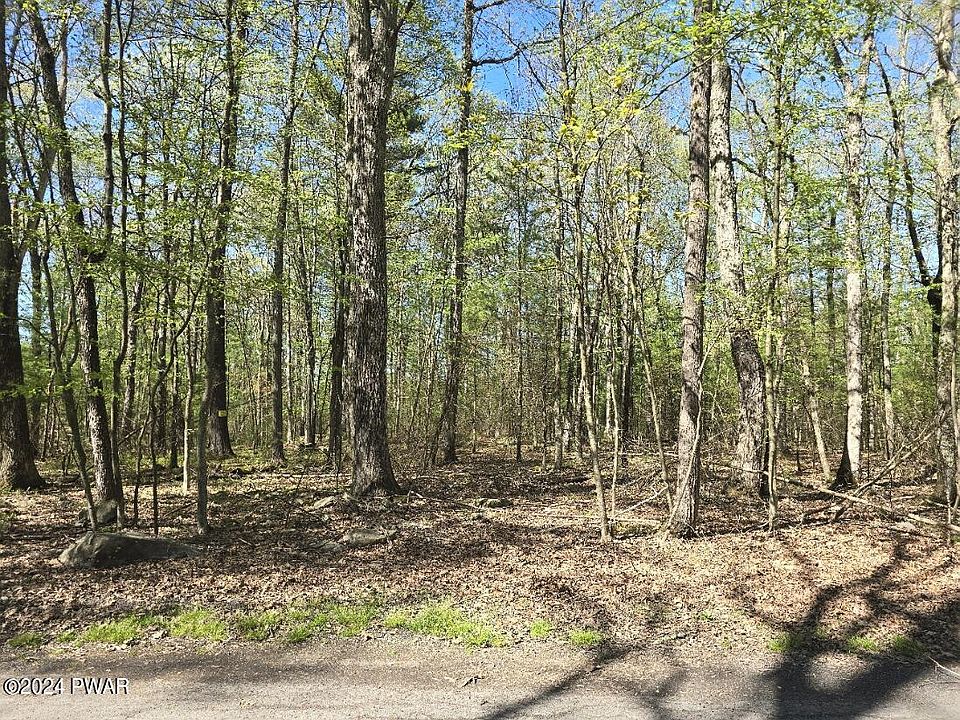 2nd image of 118 Mountain Laurel Ln