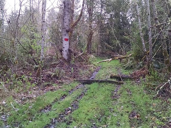 2nd image of 0 102nd Ave E