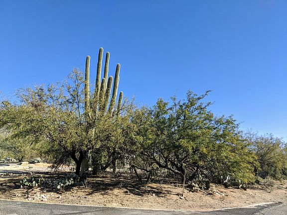 5th image of 9445 E Sanctuary Pl #4