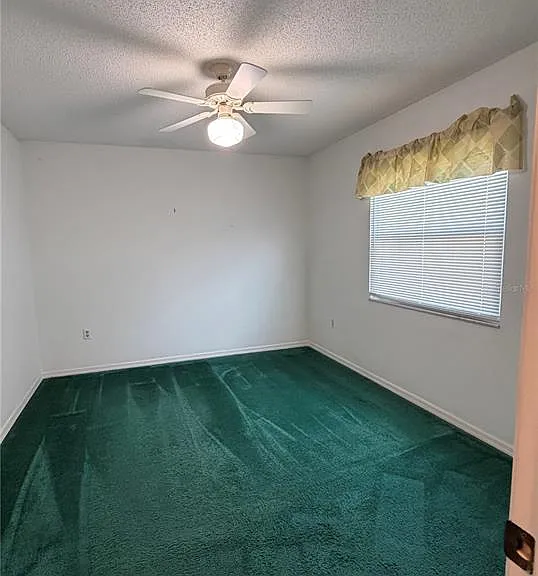 6087 Kittiwake Dr — Photo 8