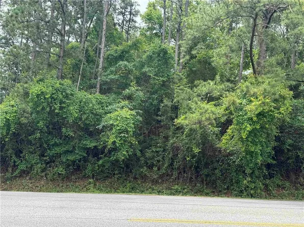 33716 Rosalia Ave, Lillian, AL 36549