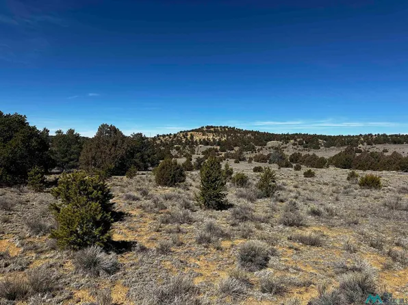 Xx Wild Horse Ranch Rd, Pie Town, NM 87827