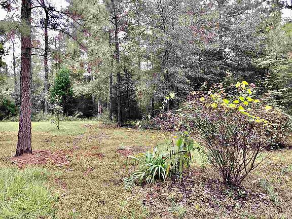 5th image of 275 Lake Camelot Cir