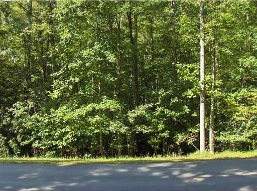 2nd image of 162 Lone Bear Dr