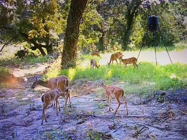 7350 Sabathney Rd, Weatherford, TX 76085