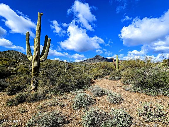 5th image of 42004 N CHIRICAHUA Pass #-