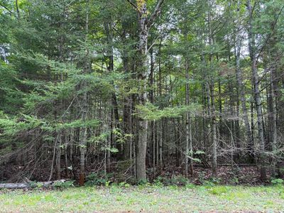 LOT 21 Renwick Cir E, Presque Isle, MI, 49777