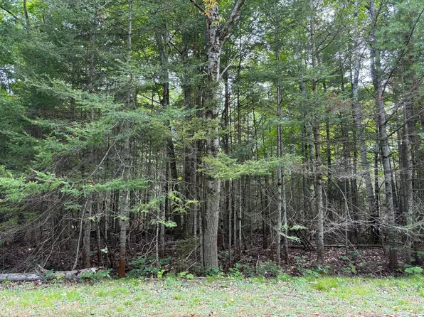 LOT 21 Renwick Cir E, Presque Isle, MI 49777
