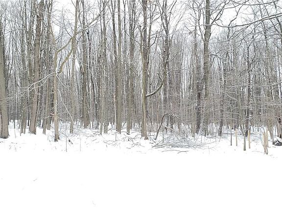 5th image of 145 Turner Dr