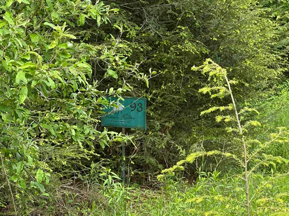 Lots 92 And 93 Gondola Ct, Davis, WV 26260