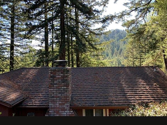 From Street View of back yard