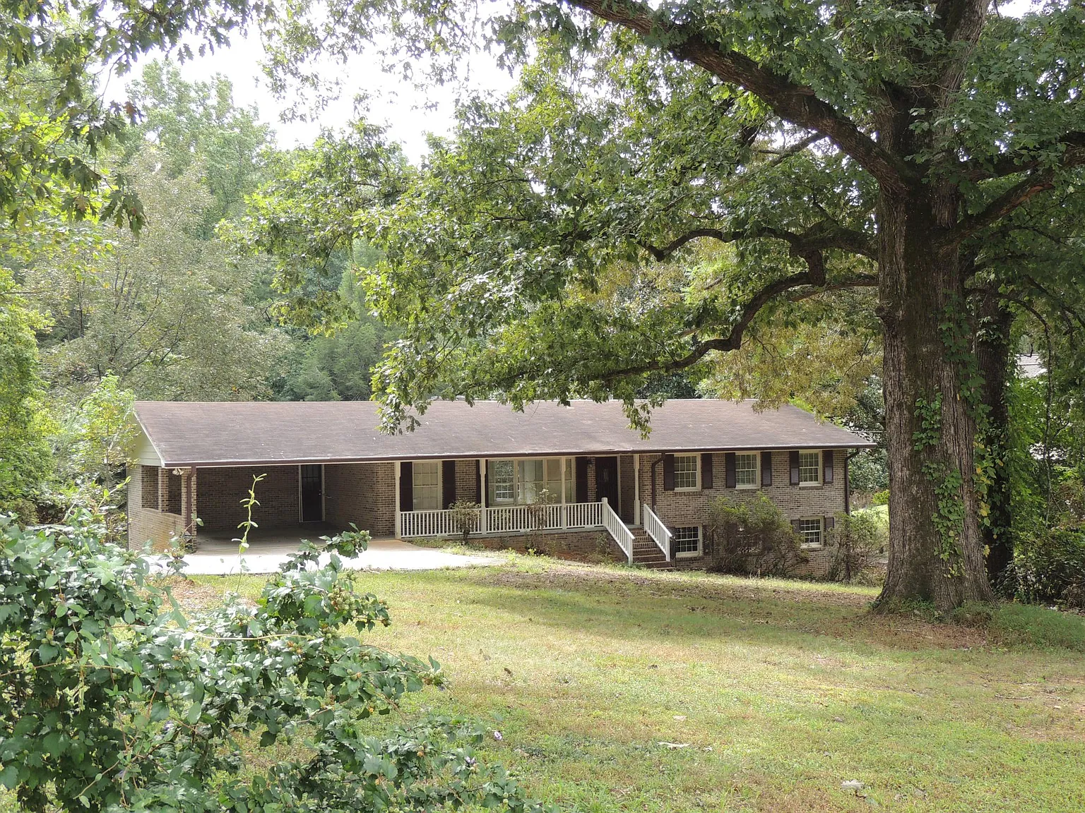 3 bed, 1568 sqft, $2,600 — Photo 2