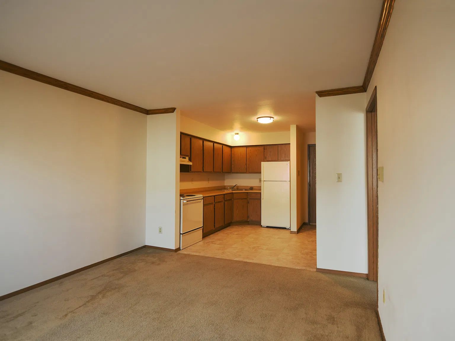1 bed, $1,075 — Photo 4