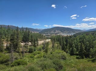 21 Buffalo Drive UNIT 226, Silverthorne, CO 80498