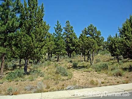 Likely Driveway Access