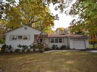 15 Tinc Rd, Flanders, NJ 07836