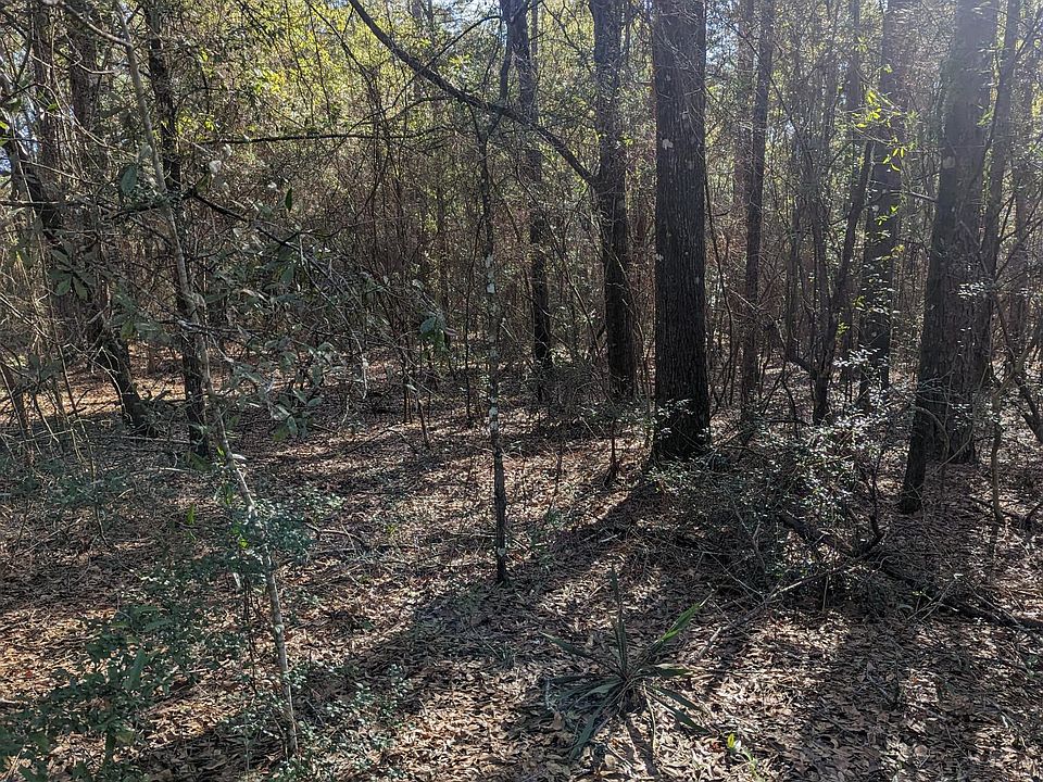 2nd image of Four Wheel Dr