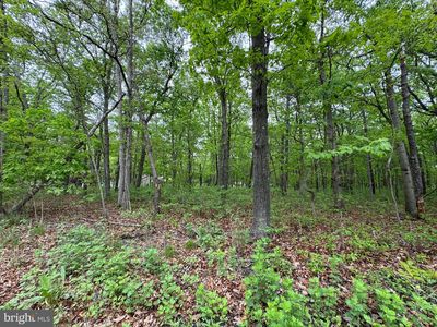 L15-02 S Ash Ave, Absecon, NJ, 08205