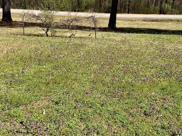 Gregory Ave, Chase City, VA 23924