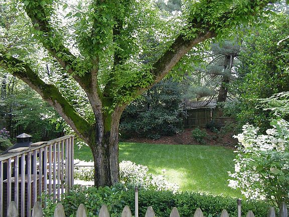 Back Yard- a perfect retreat