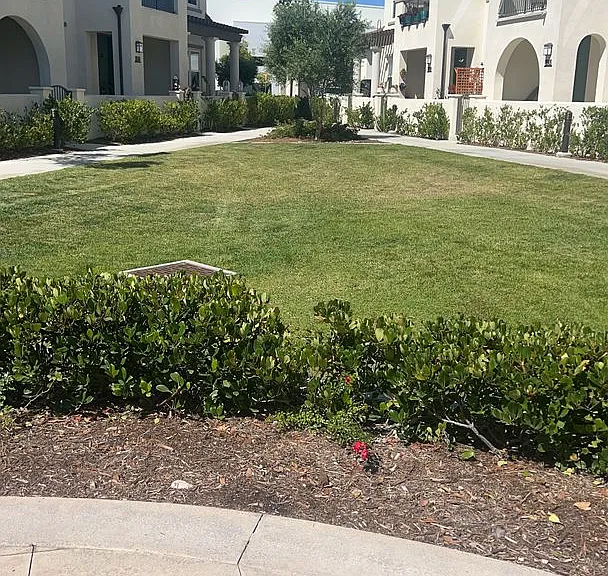 3511 Brody Way — Photo 30