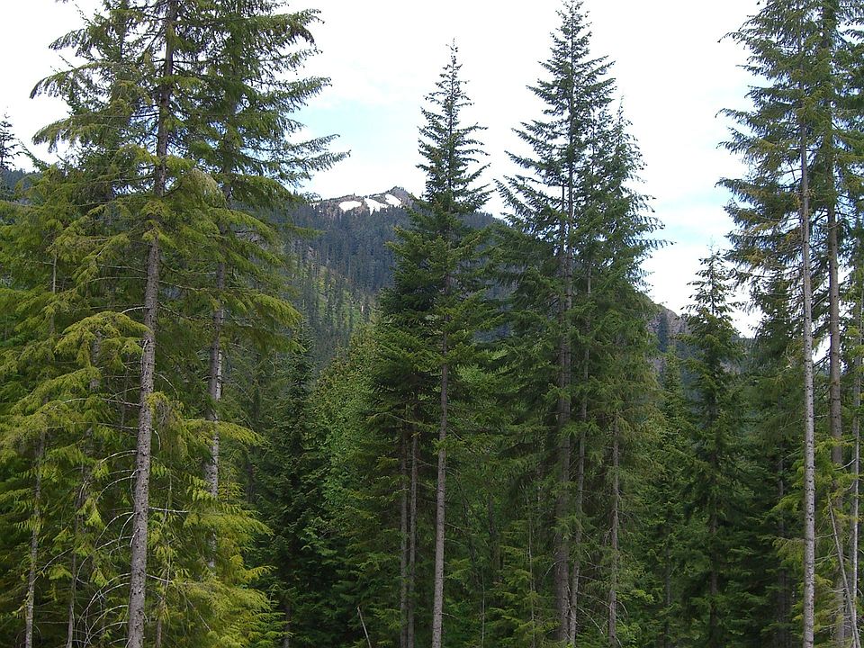 1st image of Xxx Kachess Lake Rd