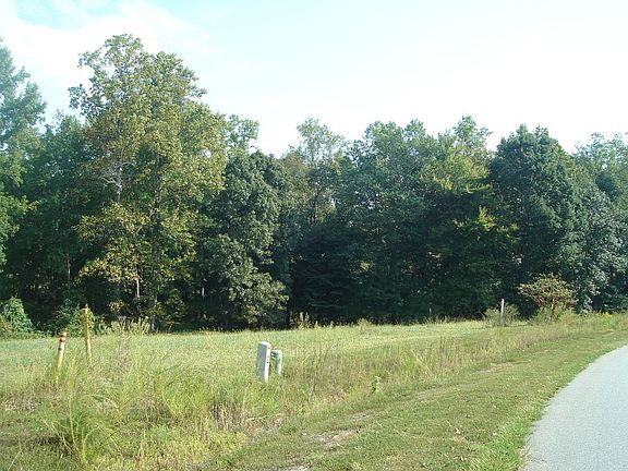 Lot 2-Northeast Roadside view