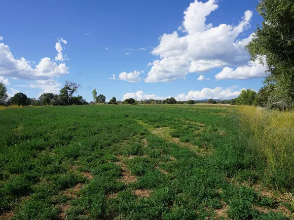 13492 Silver Sage Ln, Hotchkiss, CO 81419