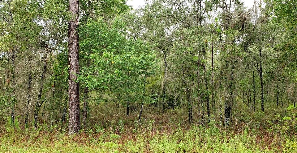 1st image of NE 98th Ln Lot 59